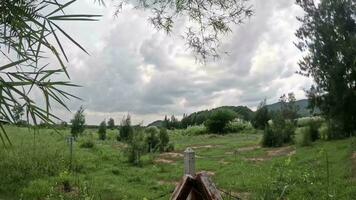 Tempo lapso vídeo a movimento do árvore nuvens Como Tempo passa. video