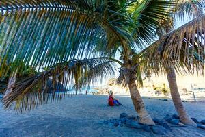 Freelancer girl on vacation by the sea under palm tree. Alone with yourself concept. Blogger dreamily looks at the sea. photo