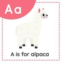 Learning English alphabet for kids. Letter A. Cute cartoon alpaca. vector