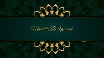 Luxury background  with mandala ornament vector