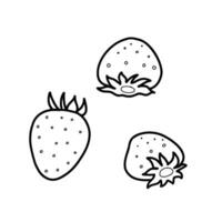 Strawberry vector icons top and side view. Garden berries sketch. Hand drawn illustration isolated on white background. Linear graphic for website, mobile app or logo.