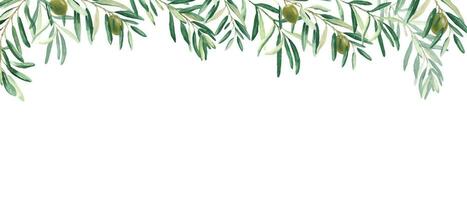 Horizontal frame, border with olive branches and green fruits. Watercolor hand drawn illustration. Perfect as a web banner, card and invitation template, for menu design. vector