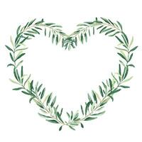 Watercolor olive heart shaped wreath. Hand drawn botanical illustration. Can be used for cards, logos and food design. vector