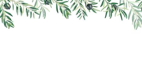 Horizontal frame, border with olive branches and ripe fruits. Watercolor hand drawn illustration. Perfect as a web banner, card and invitation template, for menu design. vector