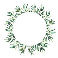 Watercolor olive tree wreath, round frame or border with black and green olives. Hand drawn botanical illustration. Can be used for cards, logos and cosmetic design. vector