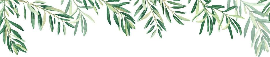 Horizontal frame, border with olive branches. Watercolor hand drawn illustration. Perfect as a web banner, card and invitation template, for menu design. vector