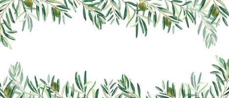 Horizontal frame, border with olive branches and green fruits. Watercolor hand drawn illustration. Perfect as a web banner, card and invitation template, for menu design. vector