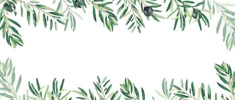 Horizontal frame, border with olive branches and ripe fruits. Watercolor hand drawn illustration. Perfect as a web banner, card and invitation template, for menu design. vector