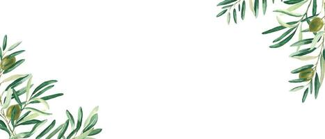 Horizontal frame, border with olive branches corners and green fruits. Watercolor hand drawn illustration. Perfect as a web banner, card and invitation template, for menu design. vector