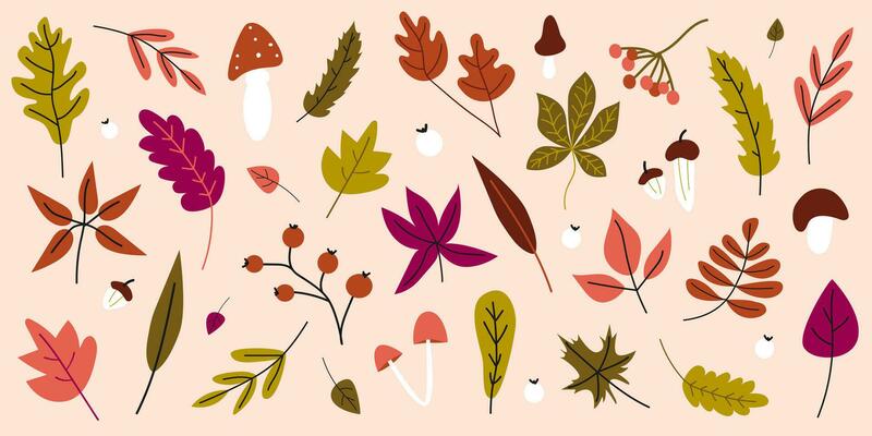 Hand drawn set of leaves. Vector fall elements. Leaves, mushrooms, acorns, maple leaves isolated on pink background. Autumn collection of different leaves. Banner for seasonal holidays.