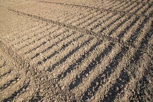 plowed soil  in a field during preparation for onion seed sowing in Bangladesh photo