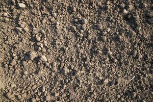 Brown crushed soil peat field abstract texture may be used as a  background wallpaper photo