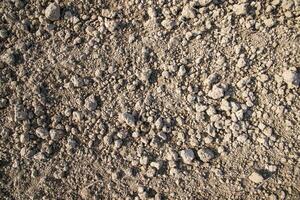 Brown crushed soil peat field abstract texture may be used as a  background wallpaper photo