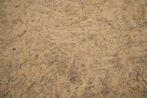 Cow Dung  brown plaster of soil  abstract Texture Background Countryside of Bangladesh photo