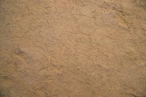 Cow Dung  brown plaster of soil  abstract Texture Background Countryside of Bangladesh photo