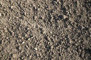 Brown crushed soil peat field abstract texture may be used as a  background wallpaper photo