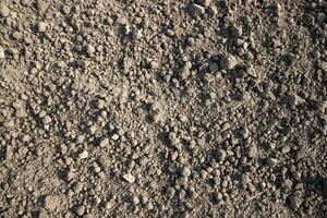 Brown crushed soil peat field abstract texture may be used as a  background wallpaper photo