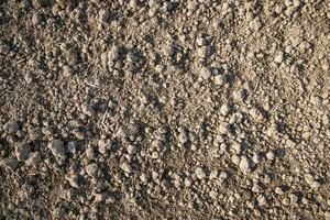 Brown crushed soil peat field abstract texture may be used as a  background wallpaper photo