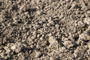 Closeup Focus Brown crushed soil peat field abstract texture  background photo