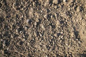 Brown crushed soil peat field abstract texture may be used as a  background wallpaper photo