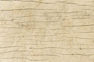 Natural wood pattern background photo