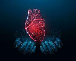 Two human hands are holds a red heart. Wireframe glowing low poly heart. Design on dark blue background. Abstract futuristic vector illustration.