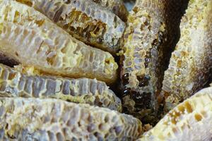 close up of fresh honey with comp in a jar photo