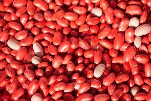 Closeup of red soy beans texture background. photo