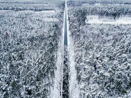 aéreo Disparo de un invierno la carretera en un bosque foto