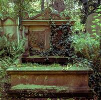 Ancient entombment on the cemetery covered with green bushes photo