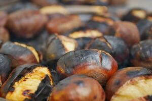 traditional Istanbul street food grilled chestnuts in a row photo