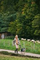 Farm landscape, young woman walking with australian shepherd dog photo