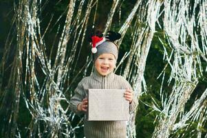 Outdoor Christmas portrait of adorable little boy photo