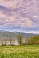 Beautiful spring landscape with with green field, fluffy clouds and small lake photo