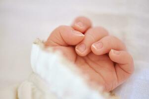 Close up image of newborn baby hand photo