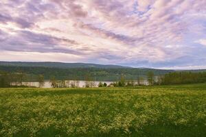 hermosa primavera paisaje con con verde campo, mullido nubes y pequeño lago foto