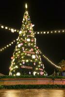 Christmas tree at Pra a do Com rcio in Mallorca photo