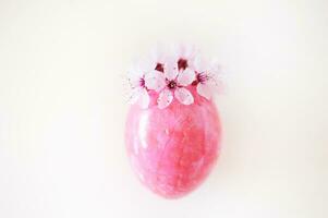 Close up image of pink easter egg with cherry blooming flowers as crown, white background photo