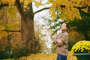 Autumn portrait of beautiful mature woman, relaxing in golden fall park photo