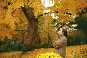 otoño retrato de hermosa maduro mujer, relajante en dorado otoño parque foto