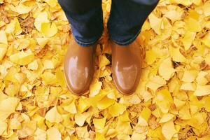 Top view of woman rain boots, girl standing on ground full of autumn leaves photo