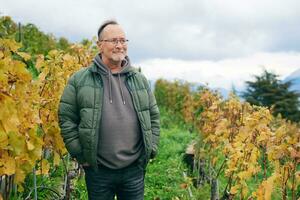 Outdoor portrait of middle age 55 - 60 year old man enjoing nice autumn day in vineyards, healthy and active lifestyle photo