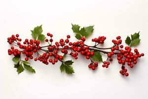 A red-berry-adorned Christmas garland isolated on white. photo