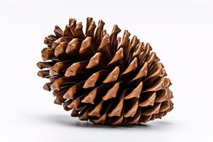 A beige conifer cone on a pale surface, isolated from itsevergreen parent. photo