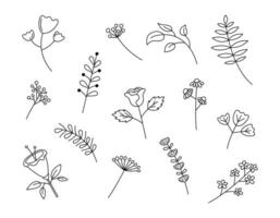 Doodle flowers set. Vector illustration. Cute hand drawn floral elements. Black isolated decor plants on white background