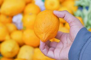 women buying oranges at the farmer's market photo