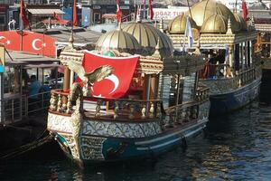 Turquía Estanbul dieciséis julio 2023. histórico barcos ese vender pescado en Estanbul foto