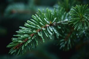 AI generated a close up of a pine tree with water droplets on it photo