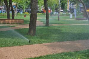 automatic watering grass, garden lawn sprinkler in action. photo