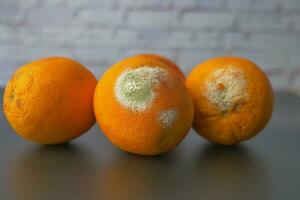 Rotten orange. Moldy orange on table photo